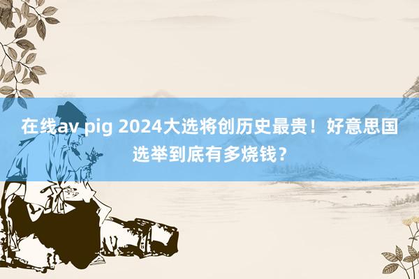 在线av pig 2024大选将创历史最贵！好意思国选举到底有多烧钱？