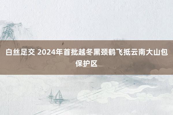 白丝足交 2024年首批越冬黑颈鹤飞抵云南大山包保护区