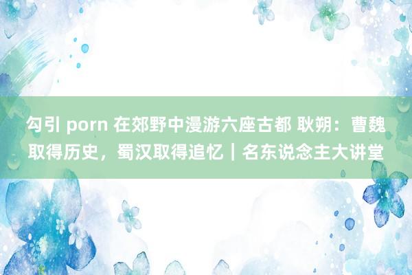 勾引 porn 在郊野中漫游六座古都 耿朔：曹魏取得历史，蜀汉取得追忆｜名东说念主大讲堂