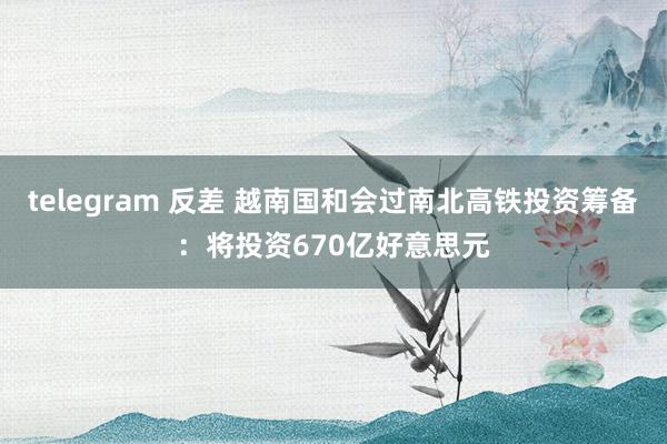 telegram 反差 越南国和会过南北高铁投资筹备：将投资670亿好意思元