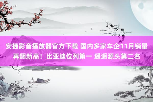 安捷影音播放器官方下载 国内多家车企11月销量再翻新高！比亚迪位列第一 遥遥源头第二名