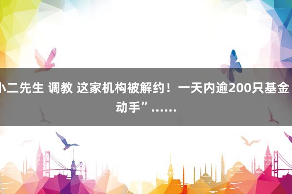 小二先生 调教 这家机构被解约！一天内逾200只基金“动手”......