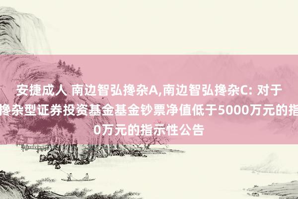 安捷成人 南边智弘搀杂A，南边智弘搀杂C: 对于南边智弘搀杂型证券投资基金基金钞票净值低于5000万元的指示性公告