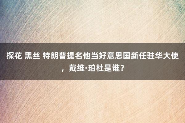 探花 黑丝 特朗普提名他当好意思国新任驻华大使，戴维·珀杜是谁？