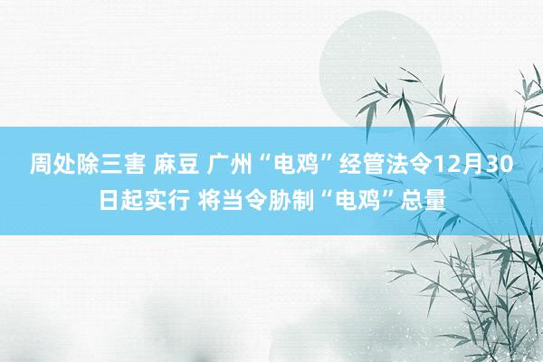 周处除三害 麻豆 广州“电鸡”经管法令12月30日起实行 将当令胁制“电鸡”总量