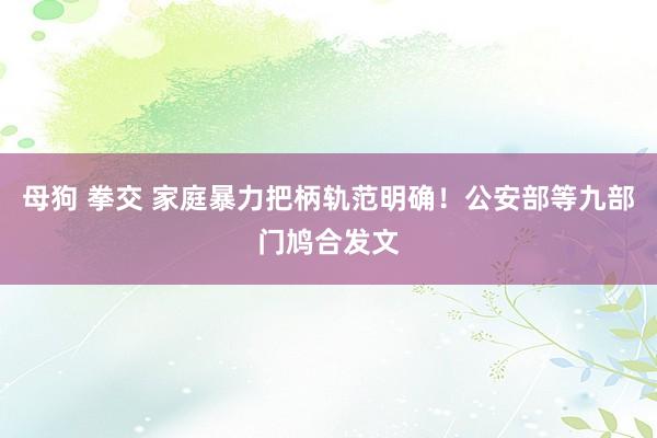 母狗 拳交 家庭暴力把柄轨范明确！公安部等九部门鸠合发文