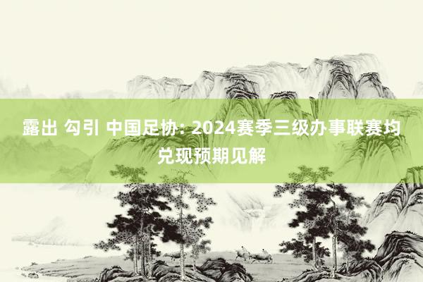 露出 勾引 中国足协: 2024赛季三级办事联赛均兑现预期见解