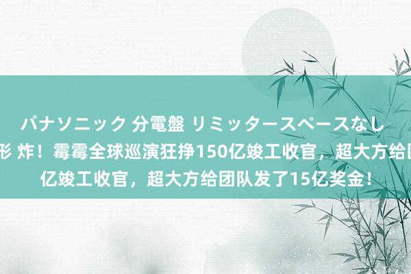 パナソニック 分電盤 リミッタースペースなし 露出・半埋込両用形 炸！霉霉全球巡演狂挣150亿竣工收官，超大方给团队发了15亿奖金！