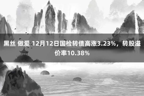 黑丝 做爱 12月12日国检转债高涨3.23%，转股溢价率10.38%