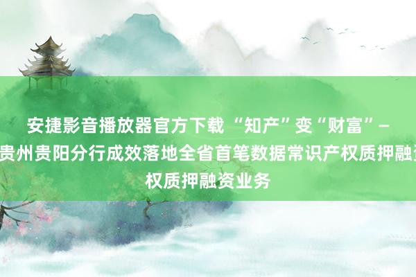 安捷影音播放器官方下载 “知产”变“财富”——工行贵州贵阳分行成效落地全省首笔数据常识产权质押融资业务