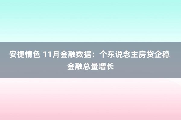 安捷情色 11月金融数据：个东说念主房贷企稳 金融总量增长