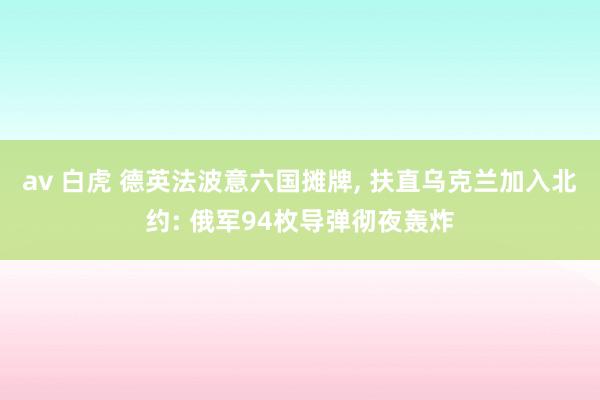 av 白虎 德英法波意六国摊牌， 扶直乌克兰加入北约: 俄军94枚导弹彻夜轰炸