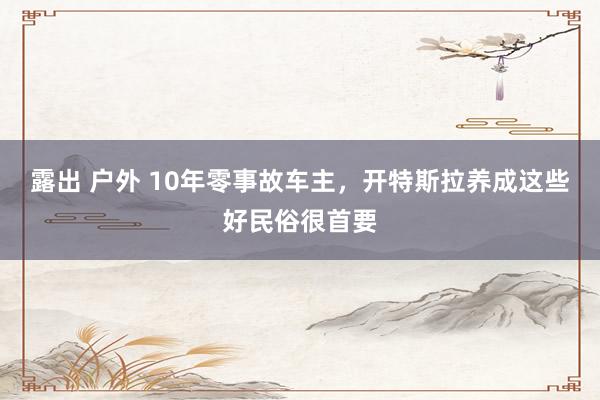 露出 户外 10年零事故车主，开特斯拉养成这些好民俗很首要