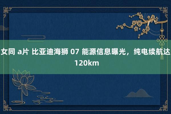 女同 a片 比亚迪海狮 07 能源信息曝光，纯电续航达 120km