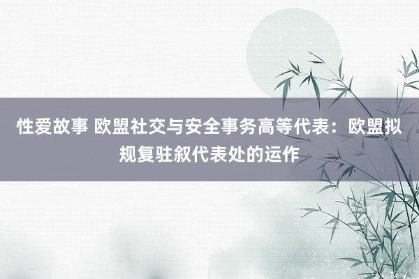 性爱故事 欧盟社交与安全事务高等代表：欧盟拟规复驻叙代表处的运作