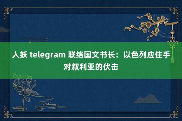 人妖 telegram 联络国文书长：以色列应住手对叙利亚的伏击