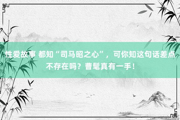 性爱故事 都知“司马昭之心”，可你知这句话差点不存在吗？曹髦真有一手！