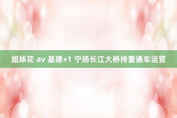 姐妹花 av 基建+1 宁扬长江大桥持重通车运营