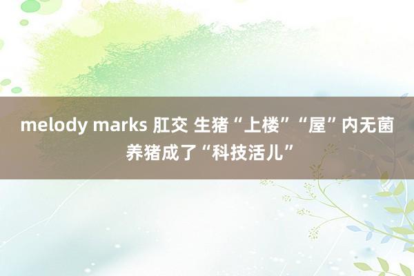 melody marks 肛交 生猪“上楼”“屋”内无菌 养猪成了“科技活儿”