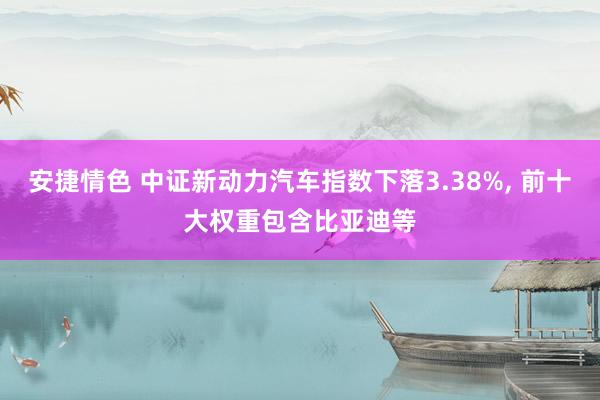 安捷情色 中证新动力汽车指数下落3.38%， 前十大权重包含比亚迪等