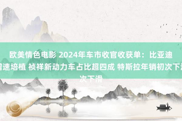 欧美情色电影 2024年车市收官收获单：比亚迪增速培植 祯祥新动力车占比超四成 特斯拉年销初次下滑