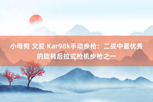 小母狗 文爱 Kar98k手动步枪：二战中最优秀的旋转后拉式枪机步枪之一