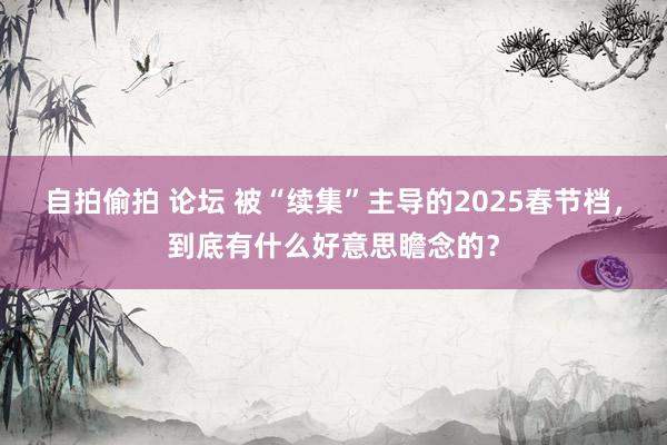 自拍偷拍 论坛 被“续集”主导的2025春节档，到底有什么好意思瞻念的？