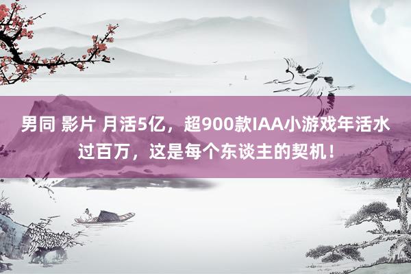 男同 影片 月活5亿，超900款IAA小游戏年活水过百万，这是每个东谈主的契机！