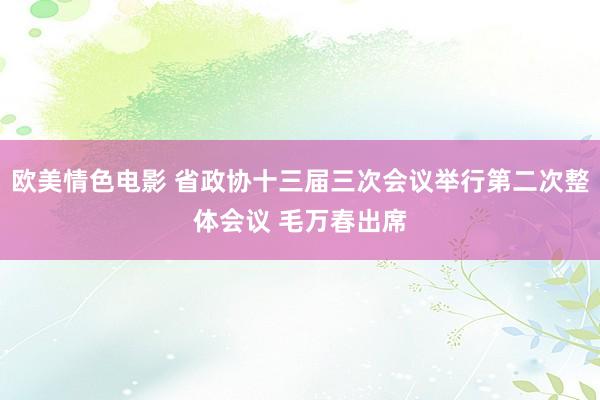 欧美情色电影 省政协十三届三次会议举行第二次整体会议 毛万春出席