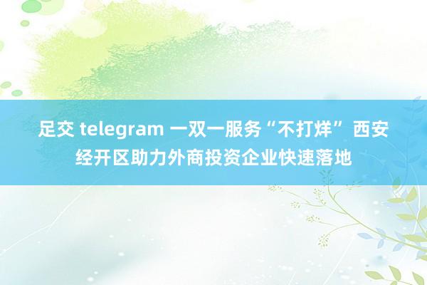 足交 telegram 一双一服务“不打烊” 西安经开区助力外商投资企业快速落地