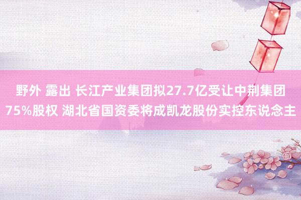 野外 露出 长江产业集团拟27.7亿受让中荆集团75%股权 湖北省国资委将成凯龙股份实控东说念主